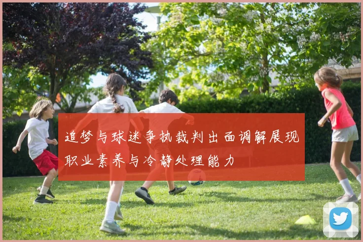追梦与球迷争执裁判出面调解展现职业素养与冷静处理能力